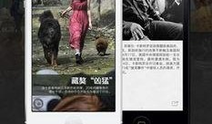 网易新闻 提供爆料,揭秘事件背后惊人真相